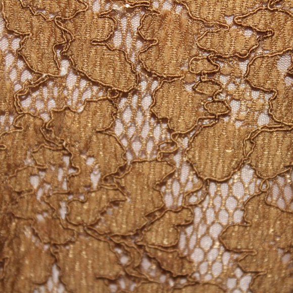 Fossil lace overlay dress (1367)🔮 - Picture 3 of 7